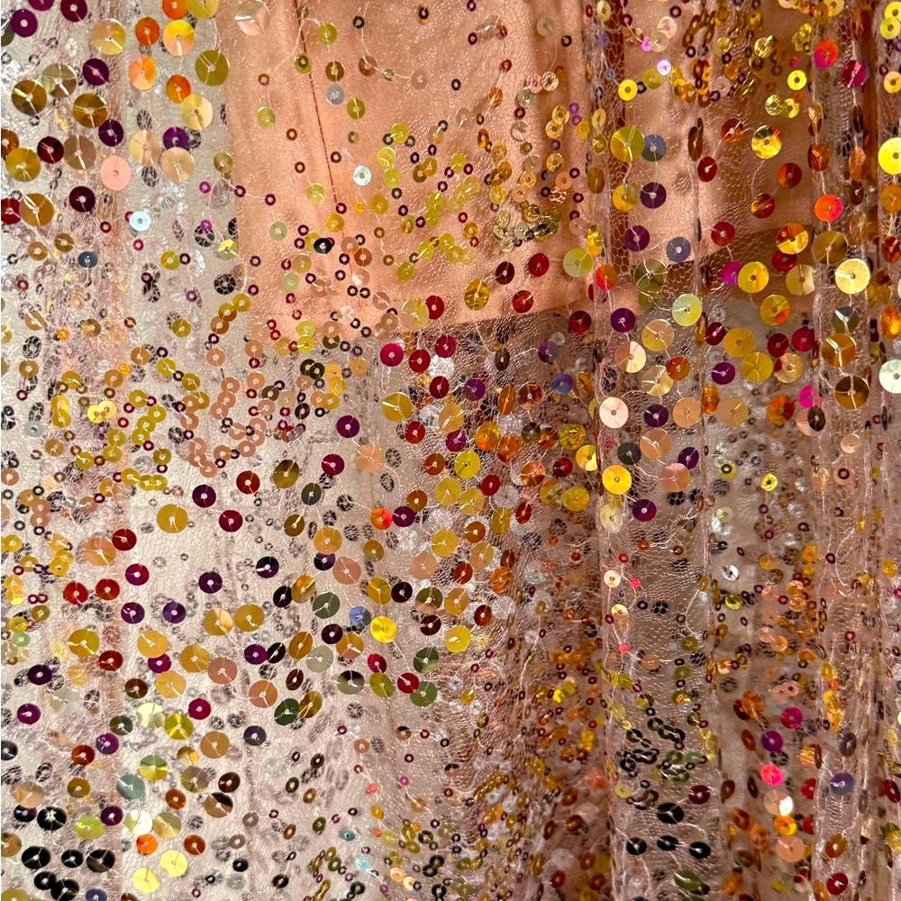 Bronx and Banco Sequin Maxi Dress in Gold and Pink - Picture 9 of 11